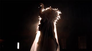 Cover art for Silver Swan - Solya