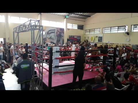muay thai luta 57 kg