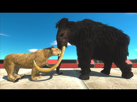 3X SMILODON vs GIANT WOOLLY MAMMOTH DEATH RUN - Animal Revolt Battle Simulator