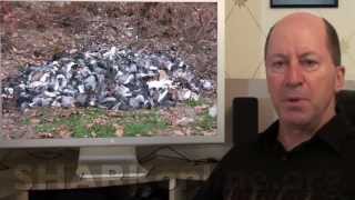 SHARK's Channel Introduction Video