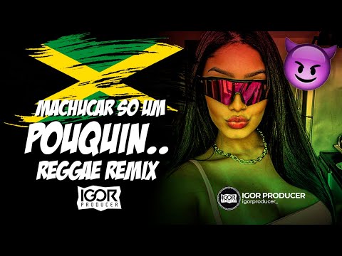 EU VOU MACHUCAR SÓ UM POUQUINHO vs Reggae Funk Remix @igorproducer