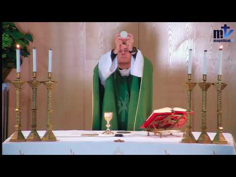 La Santa Misa de Hoy | Martes, XXII semana del Tiempo Ordinario (01-09-2026) | P. Javier Martín, FM