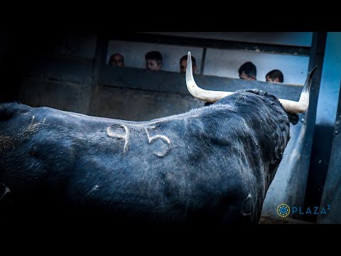 SORTEO | Corrida de toros Día de la Hispanidad