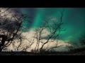 Nurettin Colak - Conception (Arctic Moon Remix ...
