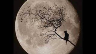 moonlight dancing.wmv