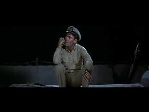 Mr. Roberts throws the palm tree overboard