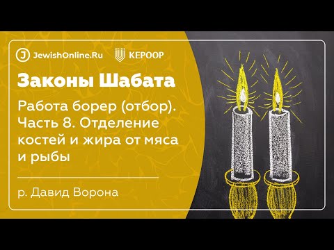 Законы Шабата. Урок 35: Работа борер (отбор). Часть 8: Отделение костей и жира от мяса и рыбы