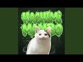 HACHIMI MAMBO FUNK