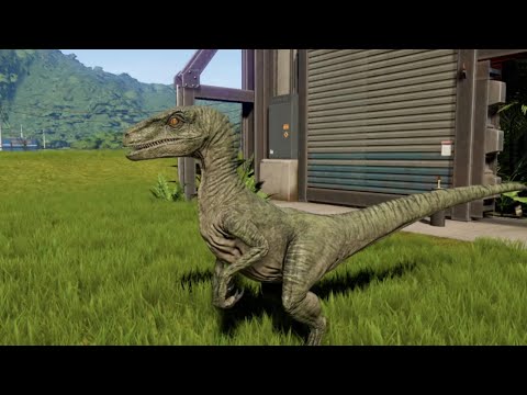 Tyrannosaurus Rex vs Velociraptors! - Dino Fights! (4K UHD)