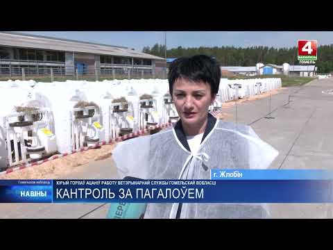 Работу ветеринарной службы Гомельщины оценил Юрий Горлов видео