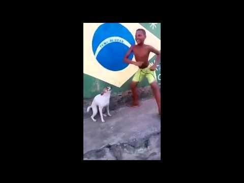 Gustavo Mota   Até o Street Dog já está dançando G Love   Facebook