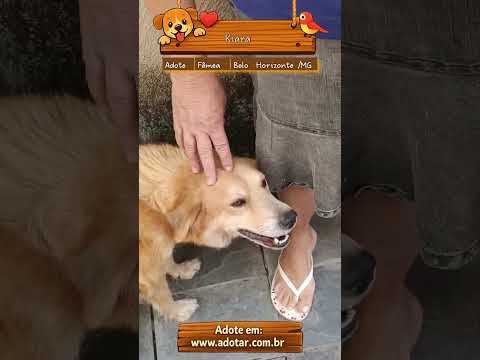 Vídeo de Kiara
