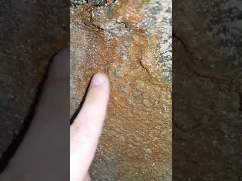 Schacht undicht OT Frellstedt, im Schiff