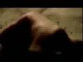 Phoenix Mourning "Across Twenty-Six Winters ...