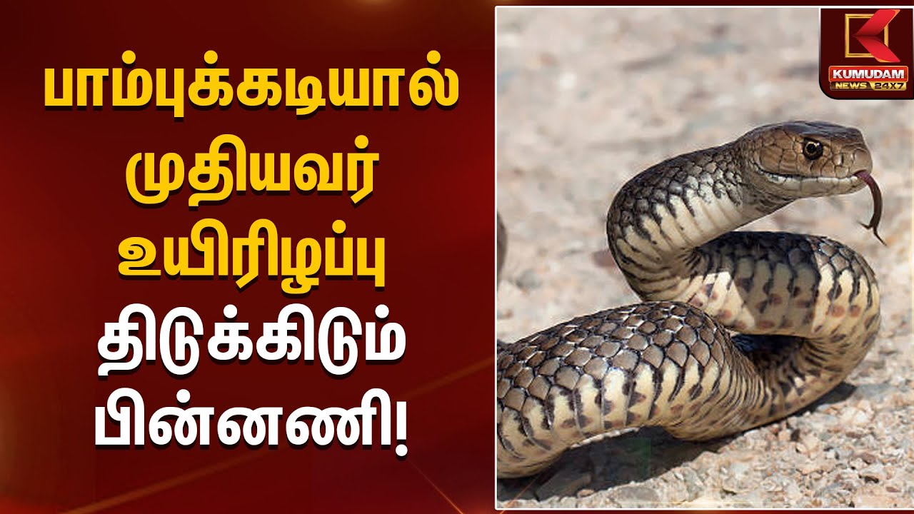 மகன்கள் ஏவி விட்ட பாம்பு - தந்தை மரண*ம் திடுக்கிடும் பின்னணி! | Shocking Incident | Kumudam News