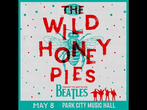 Wild Honey Pies — Chris Strange keyboards