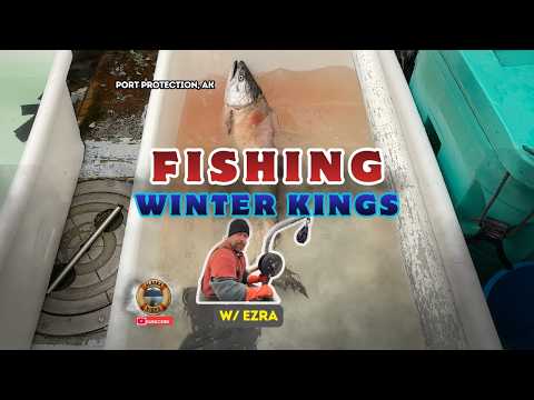 Port Protection: Fishing Winter King Salmon