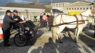 preview picture of video 'Ballinalsoe Horse Fair & Festival 2009'