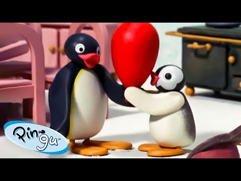 Pingu and his little sister Pinga 🐧 | Pingu - Official Channel | Cartoons For Kids