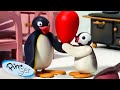 Pingu and his little sister Pinga 🐧 | Pingu - Official Channel | Cartoons For Kids