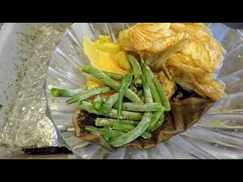 3rd haul of worms relocated from 161-day (23-week) old bin - vermicomposting