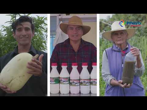 REGIÓN CONDESUYOS - Innova Arequipa