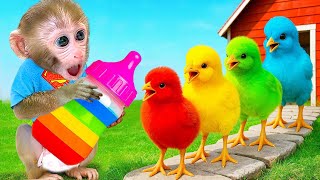 Download lagu Monyet Bon Bon Imut bermain petak umpet bersama para bebek dan memanen buah-buahan di peternakan mp3 Download lagu Monyet Bon Bon Imut bermain petak umpet bersama para bebek dan memanen buah-buahan di peternakan mp3