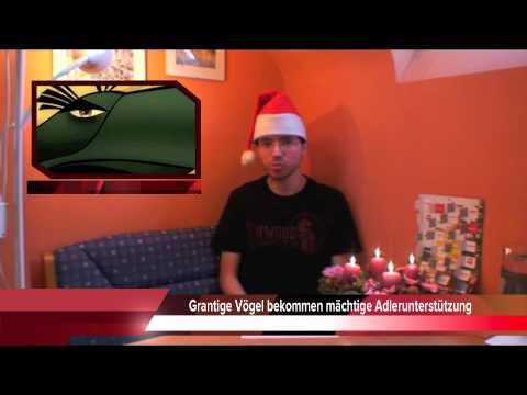 Grantige Vögel bekommen mächtige Adlerunterstützung