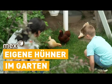Garten und Huhn – warum sich mehr Familien aufs Ländliche besinnen | mex