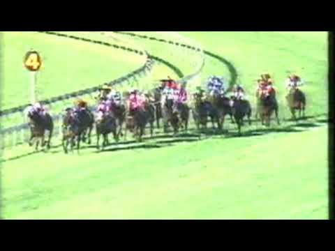 1991 Stradbroke Handicap - Rough Habit