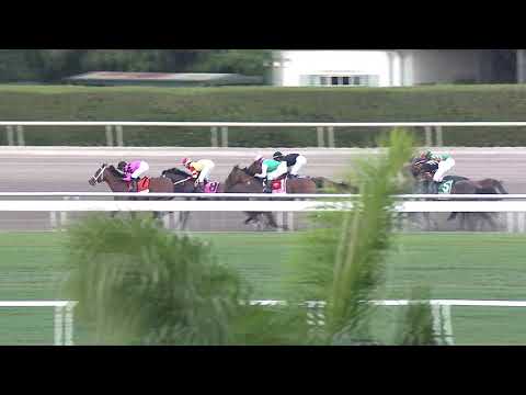Maximum Security - Florida Derby (Gr.1)