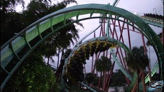 Twisted Tiger Rmc Gwazi Confirmed Busch Gardens Tampa