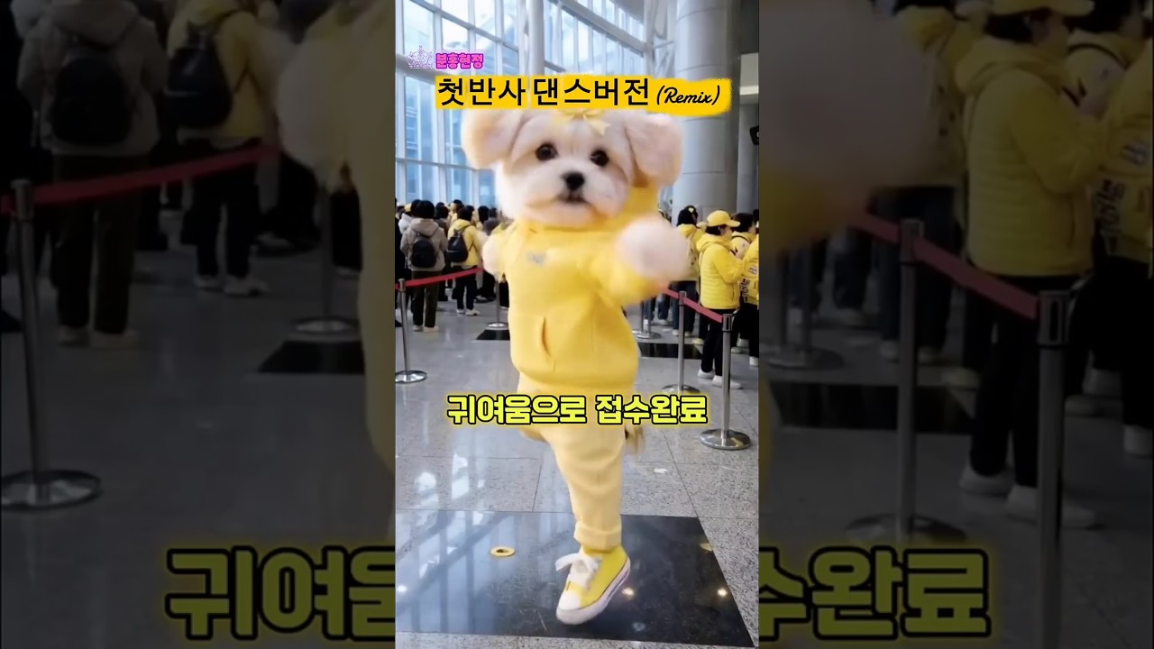 박서진💛첫반사 귀여움접수한 닻별강쥐🤗리믹스 댄스로빅💕