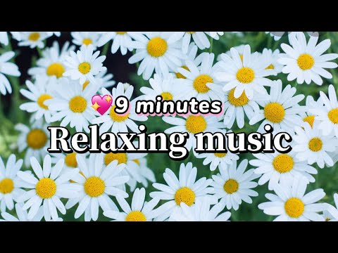 Relaxing music with Beautiful flowers