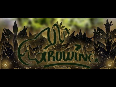 11. Topping-FuDanClan