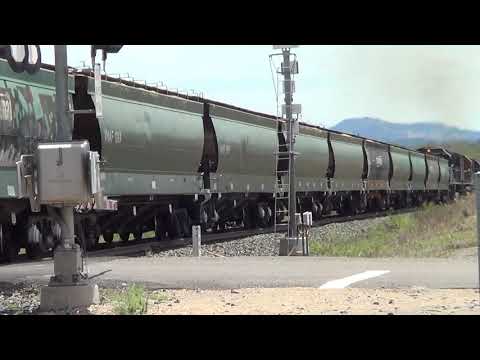 DL47+DL43+Ardglen Bankers 9005+9012+9011=Kankool.