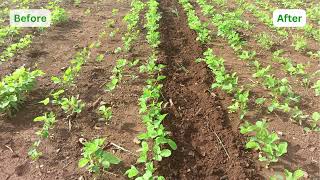 Suryanirbhar e-kunte - Electric Agricultural Implements