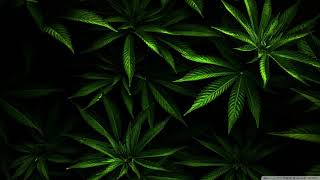 Valete - Nossos Tempos LETRA