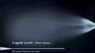 Liquid Level - Mist Saizo