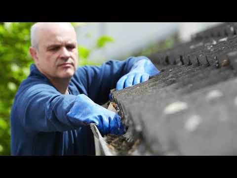 AdelCo Home Services Inc. video.