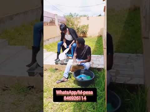 Rei Bravo - Se eu Soubesse 😰😰