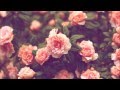 Jeremih - Rosa acosta (acoustic remix) 