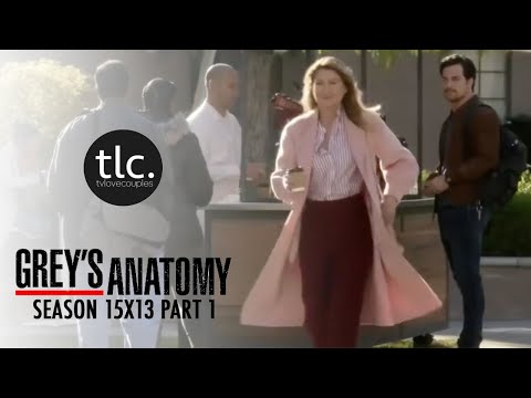 Greys Anatomy Meredith & Andrew DeLuca (MerLuca) Season 15-13 1/2