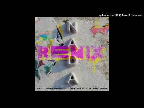 Nada (Full Remix) Cali y El Dandee, Danna Paola, Akon, Guaynaa & Brytiago