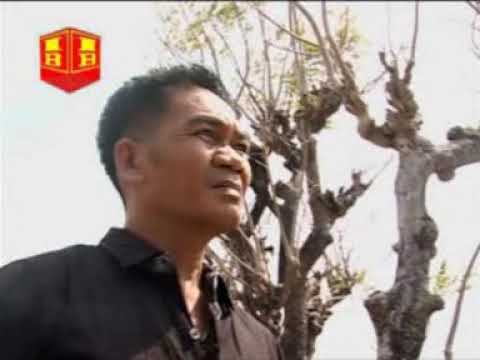 ANGNGAI TANINGAI#UDHIN LEADER'S#DAERAH#LEFT