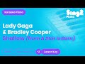 Shallow - Lady Gaga, Bradley Cooper | A Star Is Born (Lower Key) Piano Karaoke