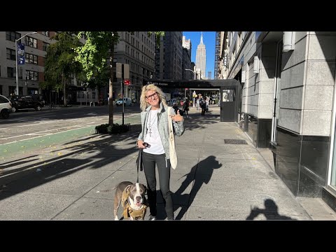 NYC LIVE Architectural Walk through Chelsea & Flower District of Manhattan November 10, 2022