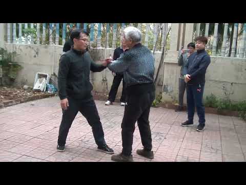 taichi fajin 태극권 발경