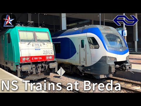 NS Intercity, Sprinter, and Freight Trains at Breda Station | NS | NS International