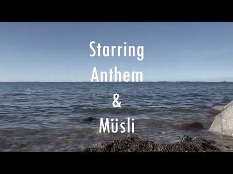 BONUSBATTLE - RIGW vs Astrocat x Mondmann (prod. Young Rho & INTERBEATIONAL)